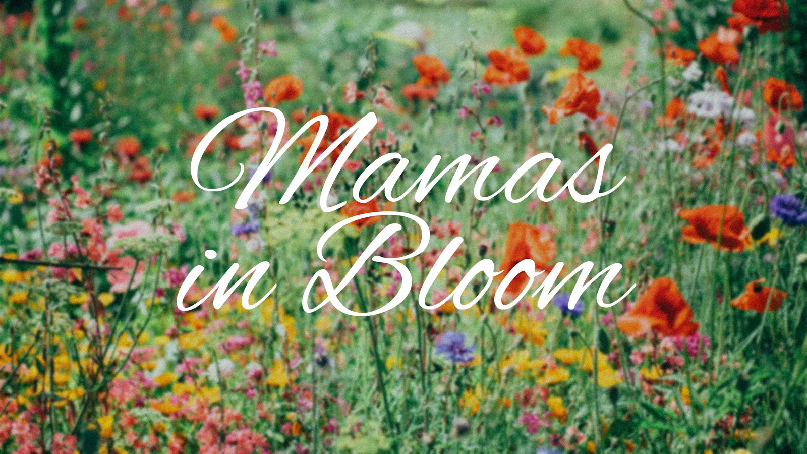 Mamas in Bloom